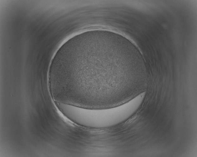 X0000067481535200604211620