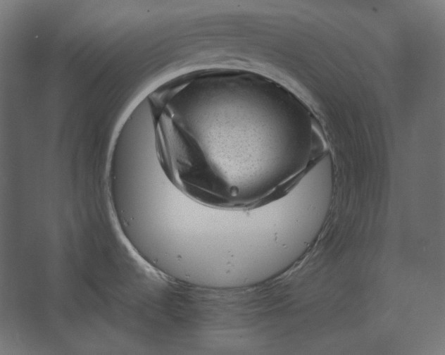 X0000067481536200604211620