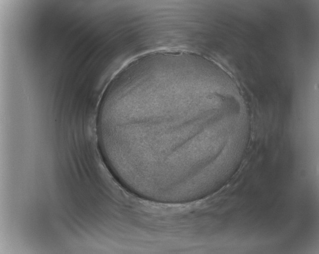 X0000067480002200604281932