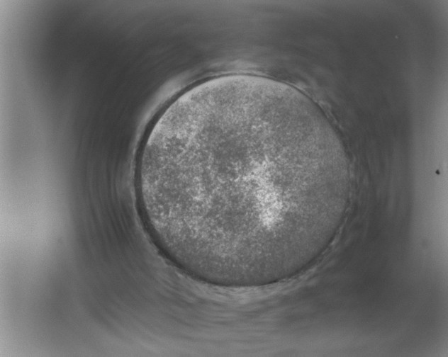 X0000067480006200604281932