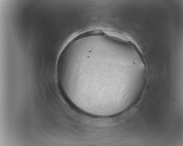 X0000067480008200604281932