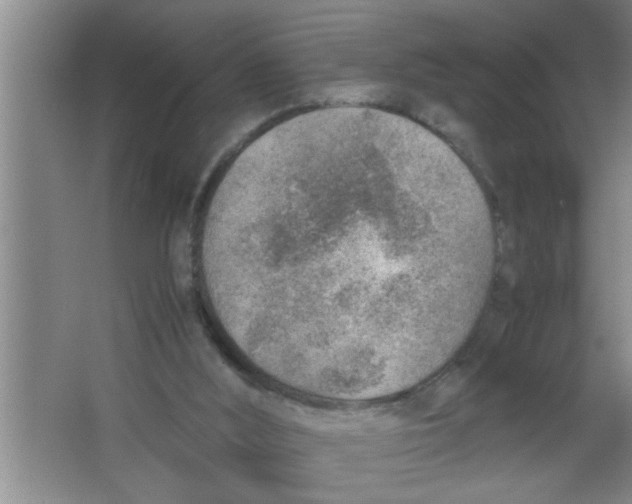 X0000067480012200604281932