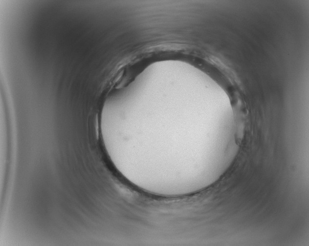 X0000067480013200604281932