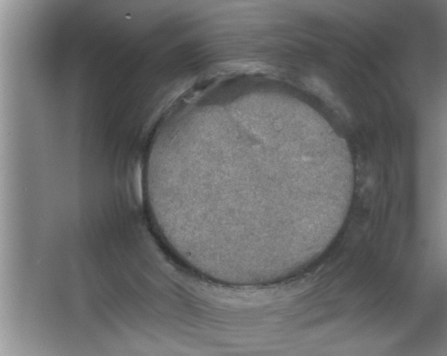 X0000067480014200604281932