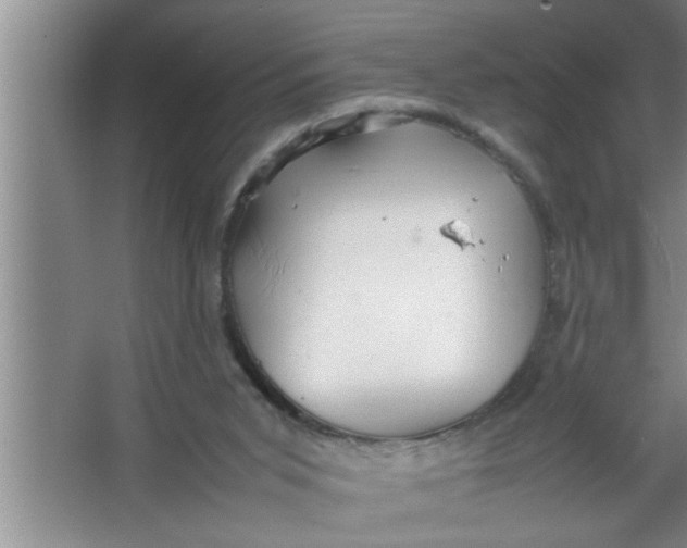 X0000067480015200604281932