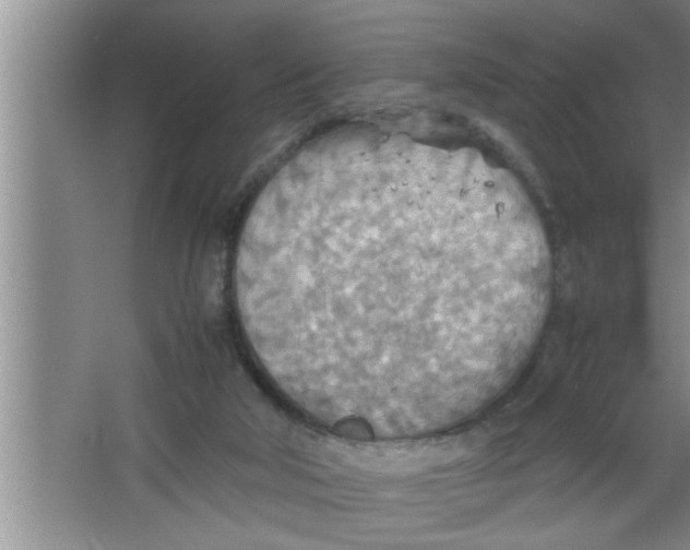 X0000067480018200604281932