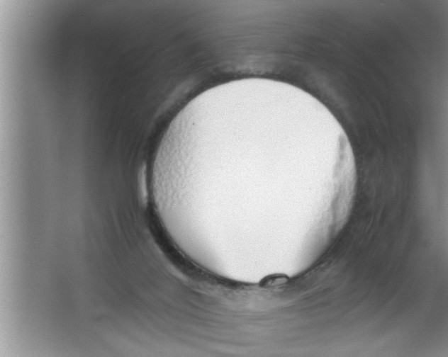 X0000067480020200604281932