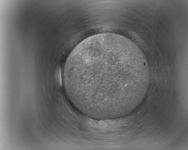 X0000067480022200604281932