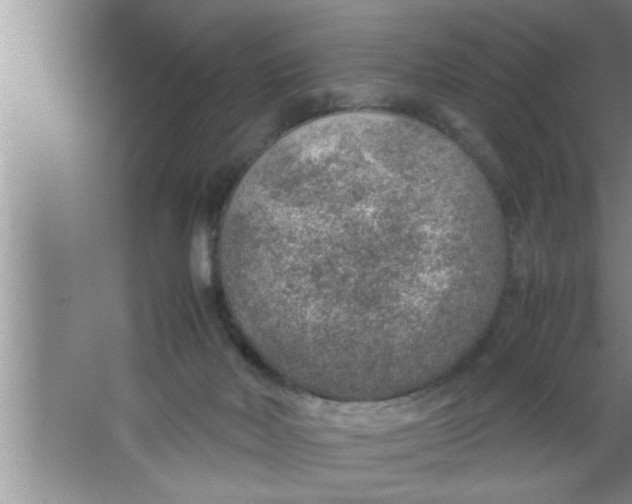 X0000067480026200604281932