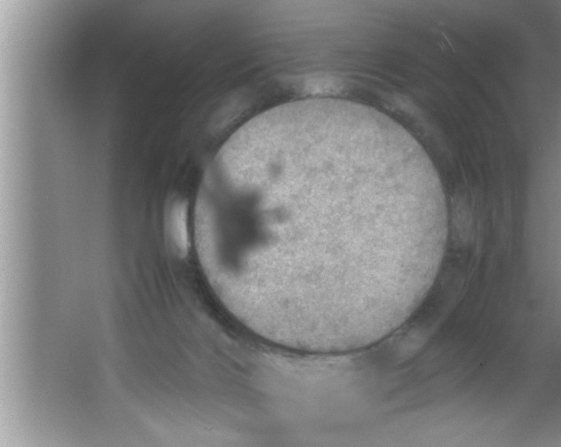 X0000067480028200604281932