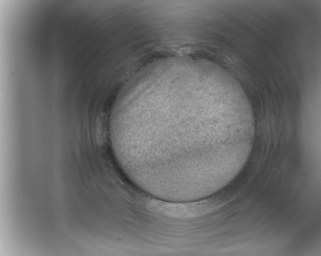 X0000067480030200604281932