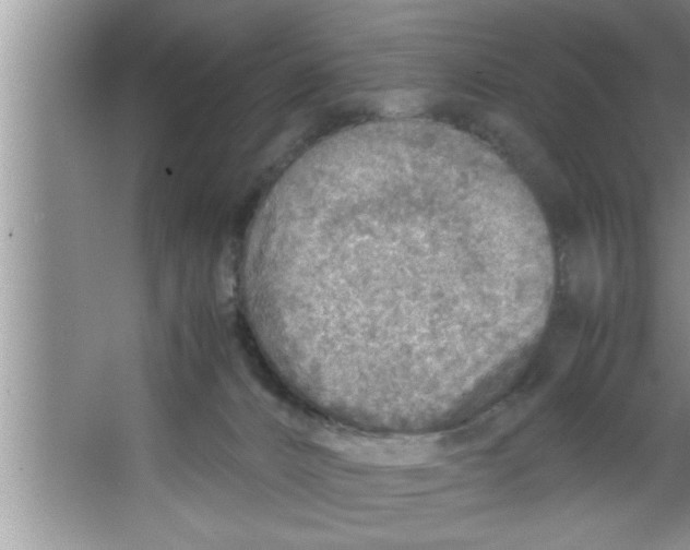 X0000067480032200604281932