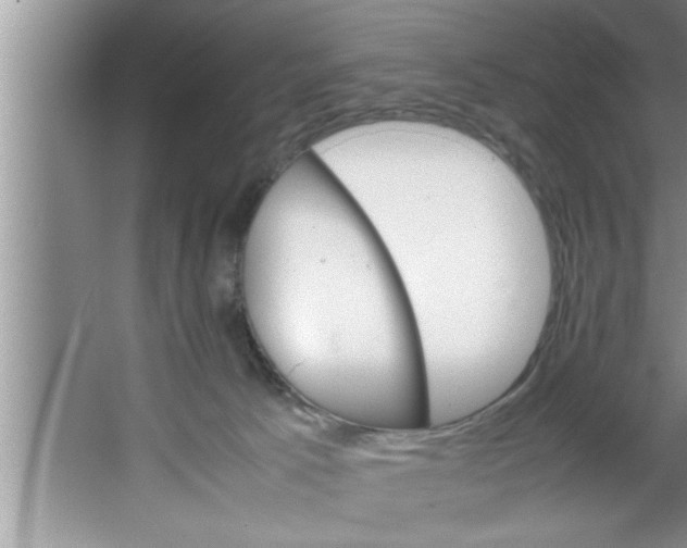 X0000067480033200604281932