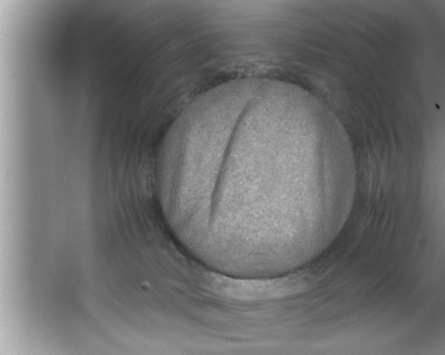 X0000067480034200604281931