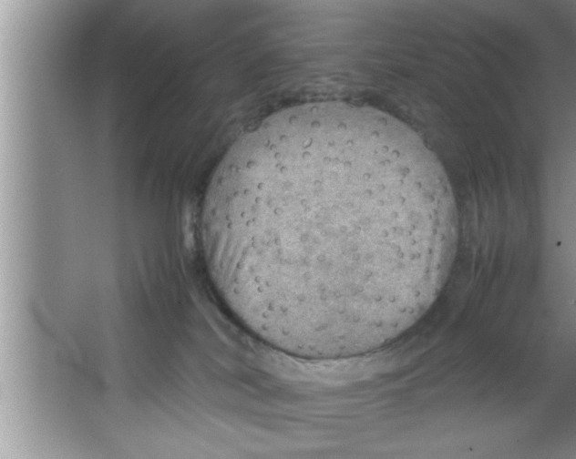 X0000067480038200604281931