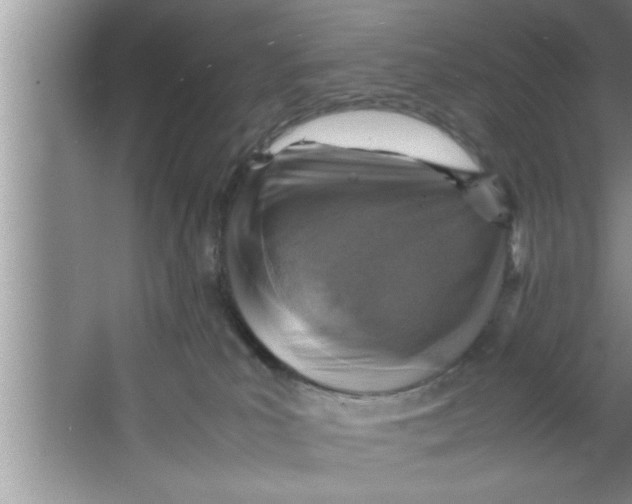 X0000067480039200604281931