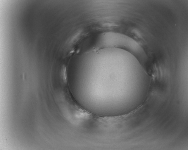 X0000067480041200604281931