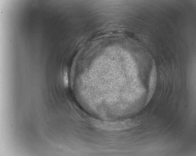 X0000067480042200604281931