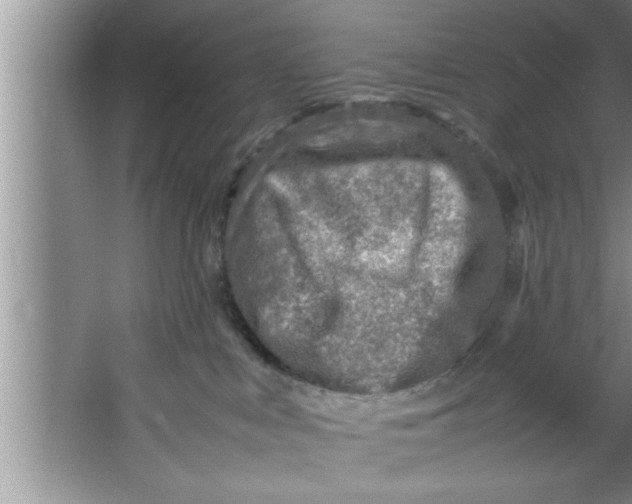 X0000067480043200604281931