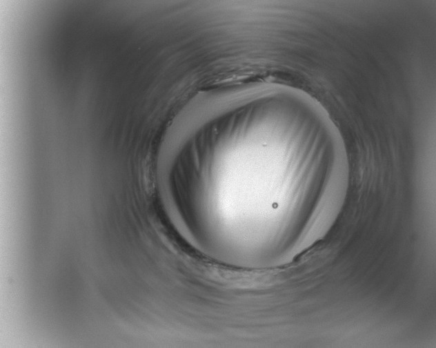 X0000067480044200604281931