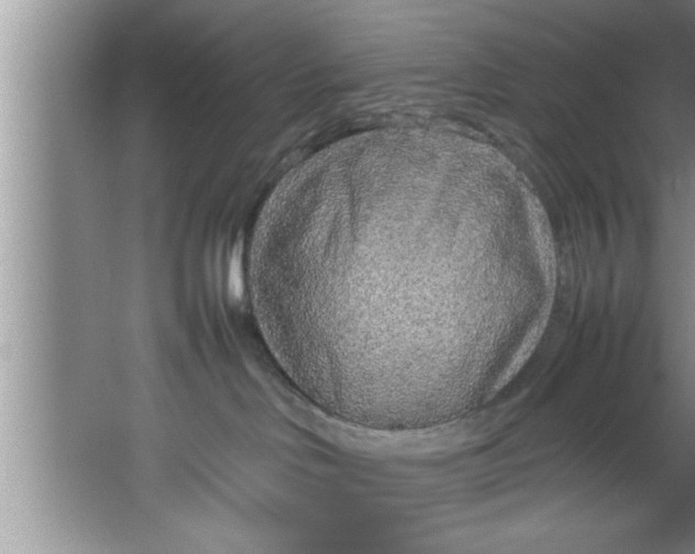 X0000067480046200604281931