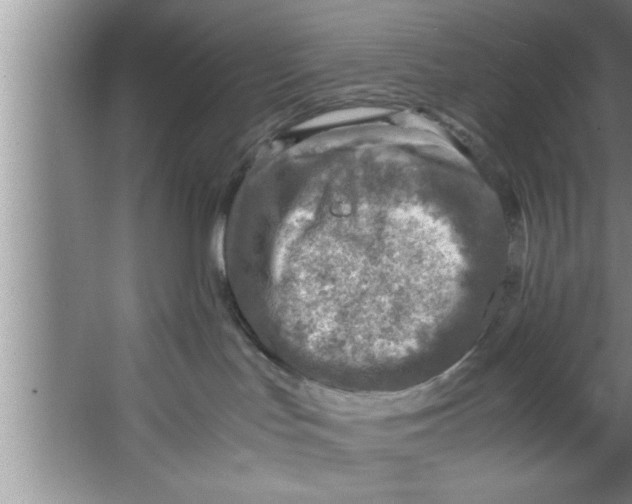 X0000067480047200604281931