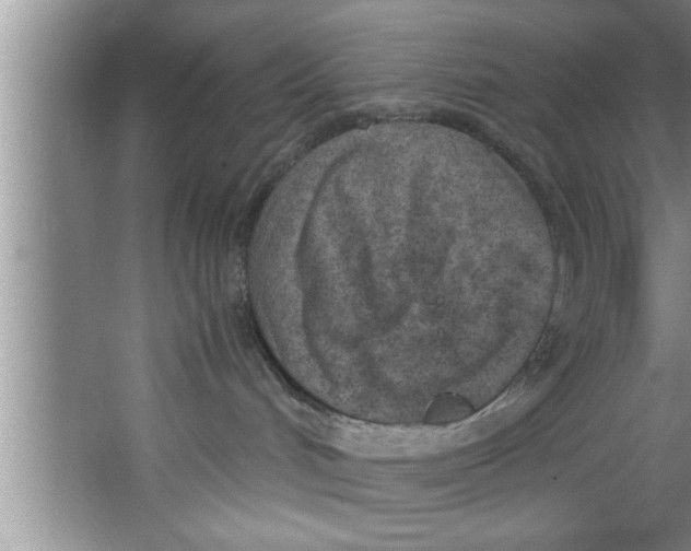 X0000067480048200604281931