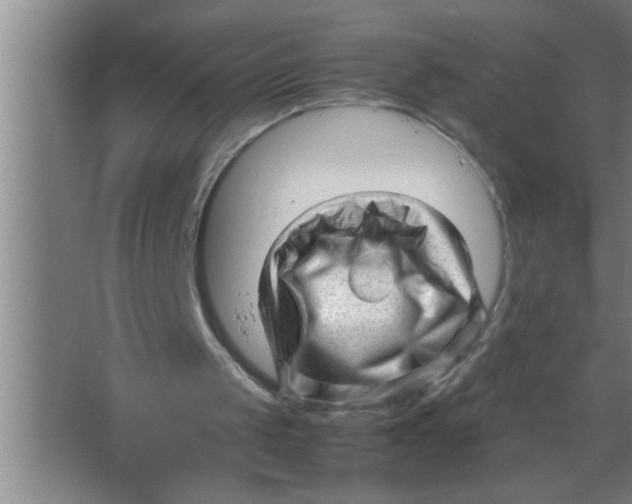 X0000067480049200604281930