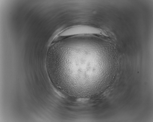 X0000067480051200604281930