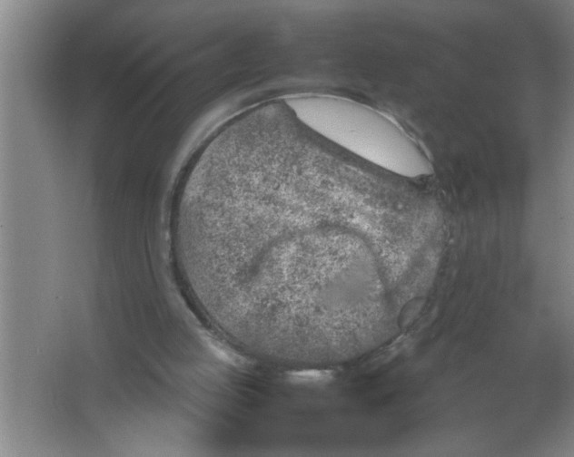 X0000067480053200604281931