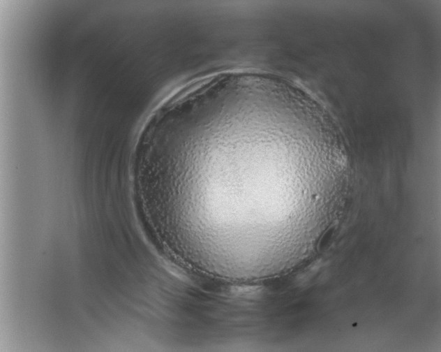 X0000067480055200604281931