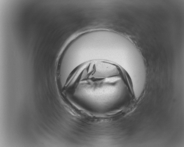 X0000067480056200604281931