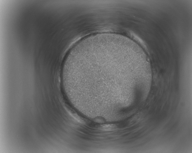 X0000067480059200604281931