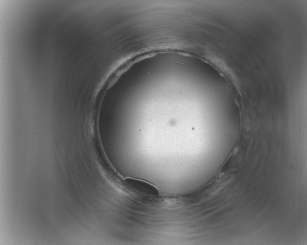 X0000067480060200604281931