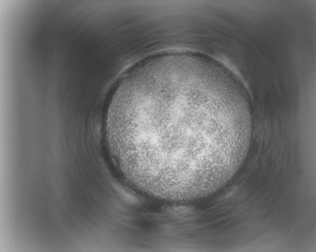 X0000067480063200604281931