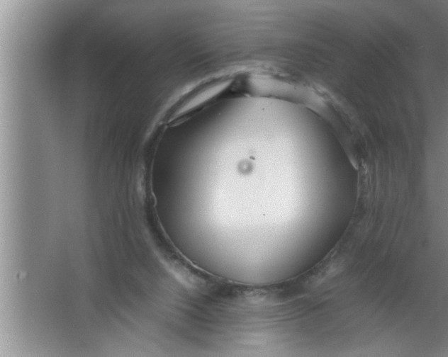 X0000067480064200604281931