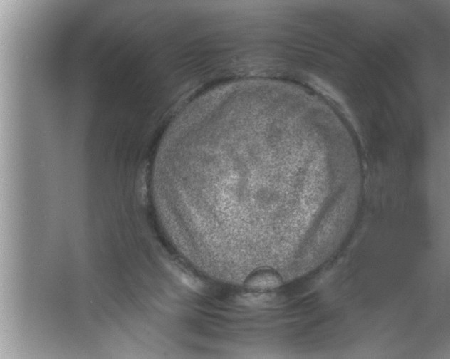 X0000067480065200604281931