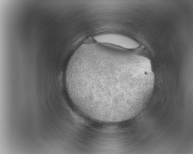 X0000067480066200604281931