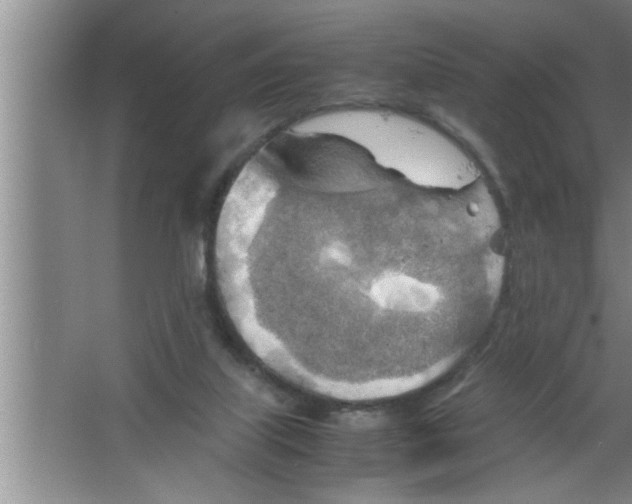 X0000067480067200604281931