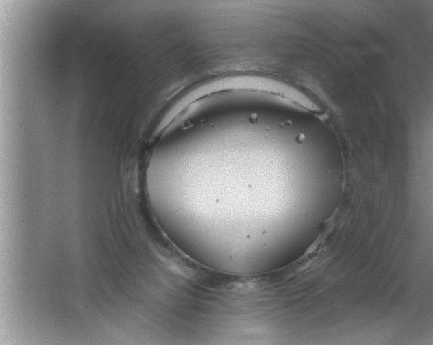 X0000067480068200604281931