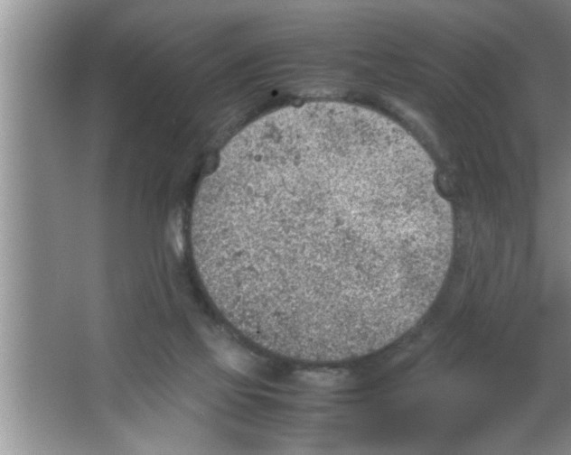 X0000067480069200604281931