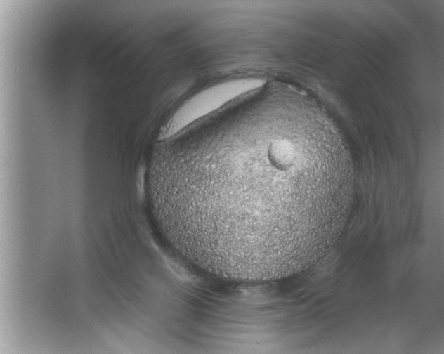 X0000067480070200604281931