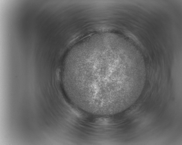 X0000067480071200604281931