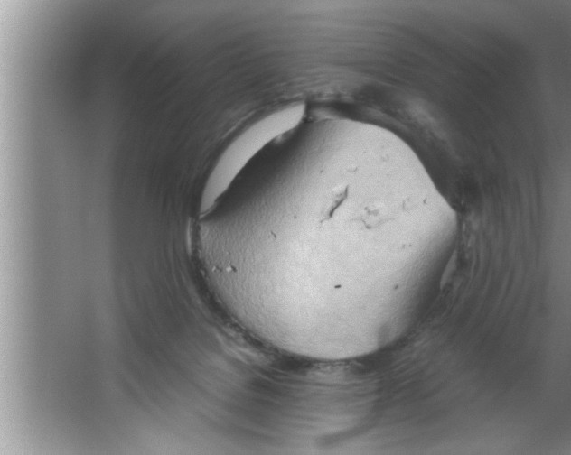 X0000067480076200604281931