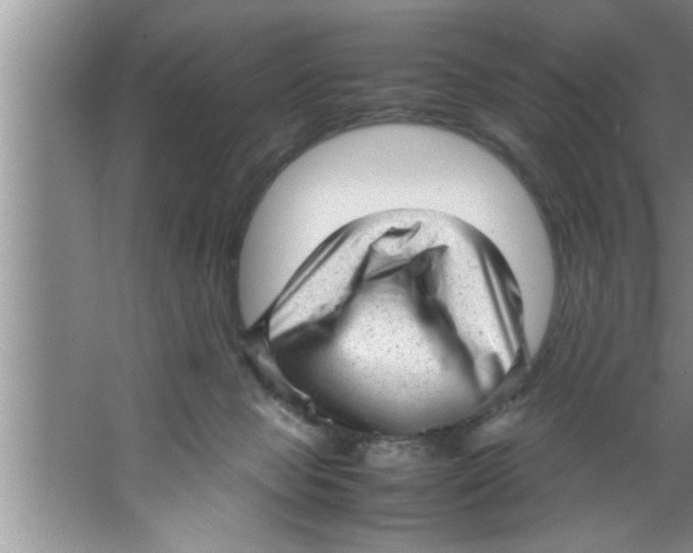 X0000067480077200604281931