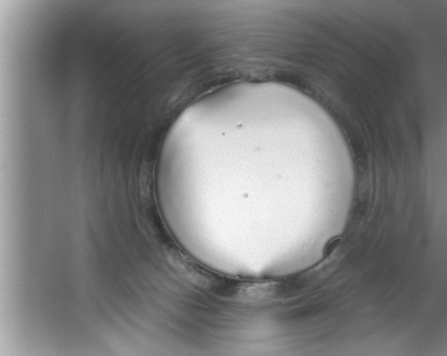 X0000067480078200604281931