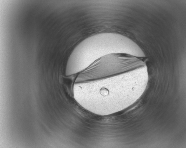 X0000067480080200604281931