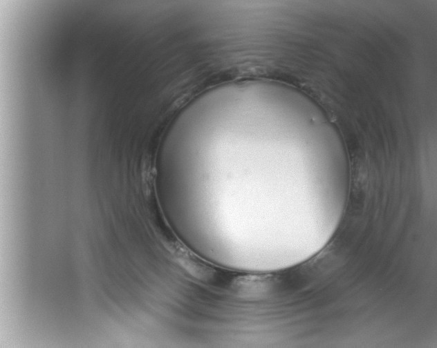 X0000067480082200604281931