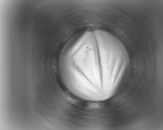 X0000067480083200604281931