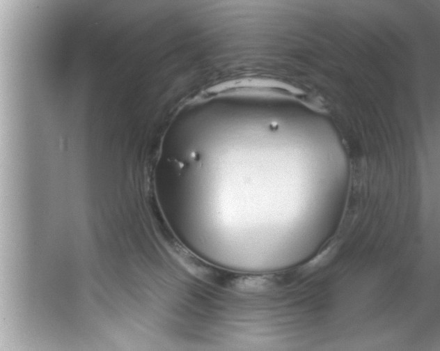 X0000067480086200604281931